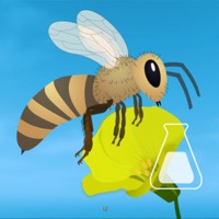 Life of a Bee pour PC