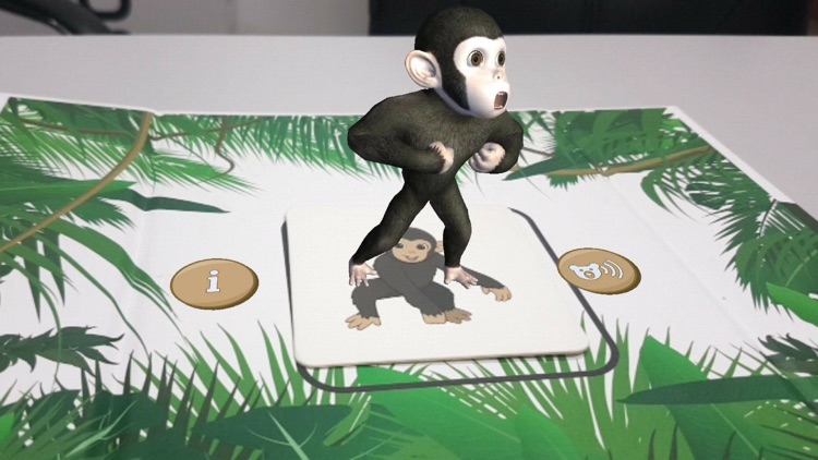 BIMBOX-Friends from the Jungle screenshot-3