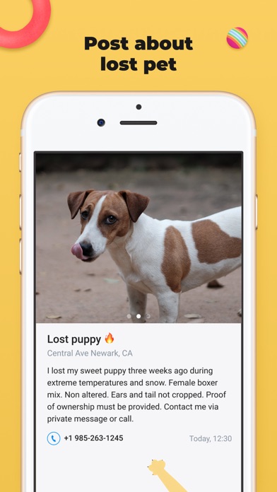 Lost Pet — find my lost pet Screenshot