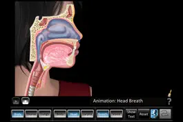 Game screenshot Respiration ID apk