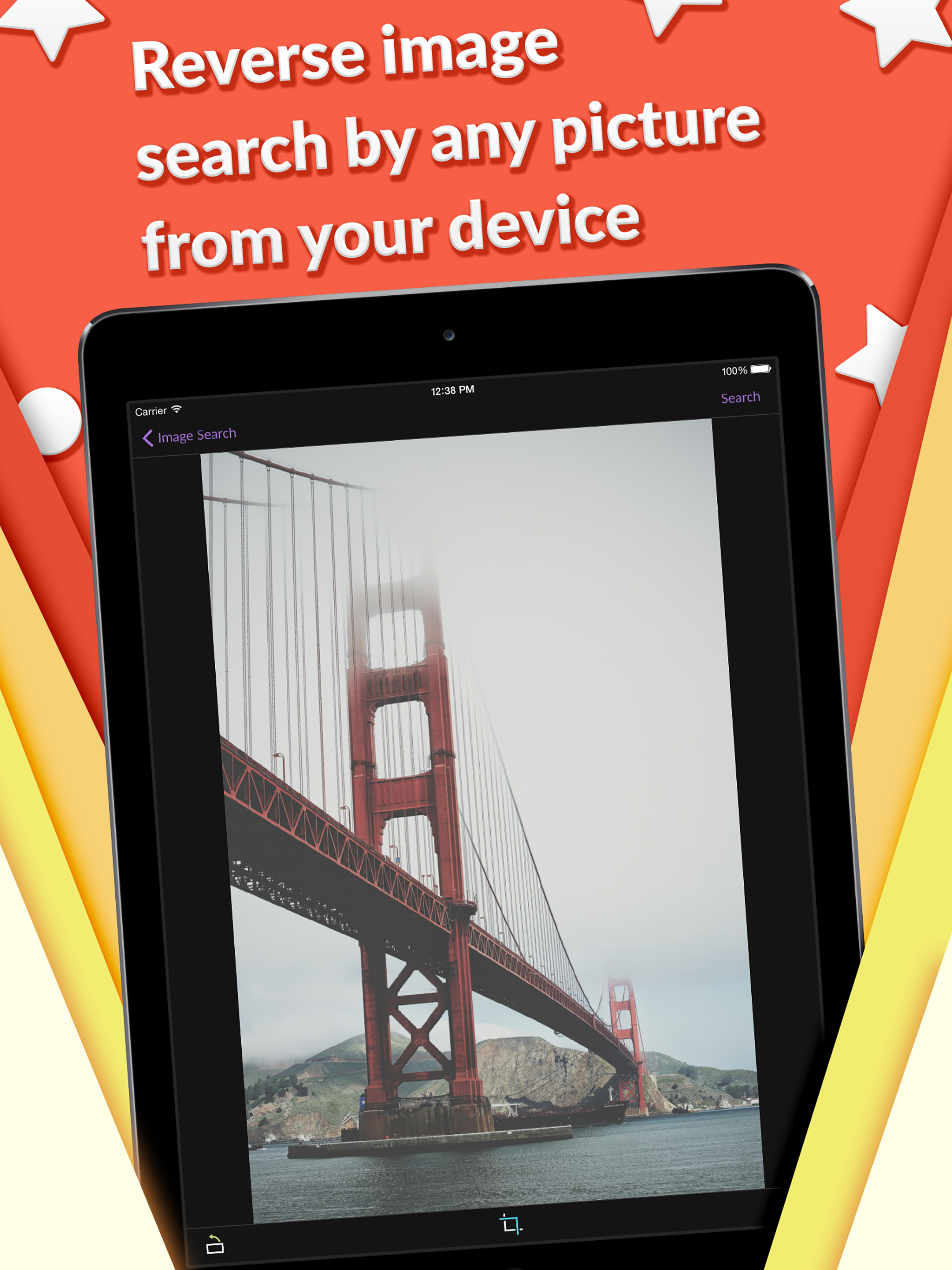 Reverse Image Search by Photo