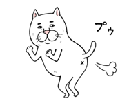 目つきの悪い猫１