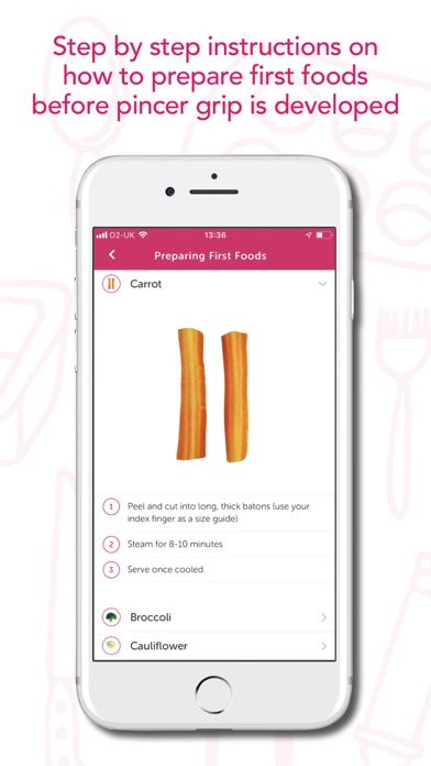 Baby Led Weaning Recipes Screenshot