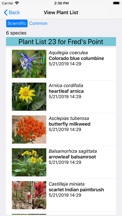 Arizona Wildflowers Screenshot