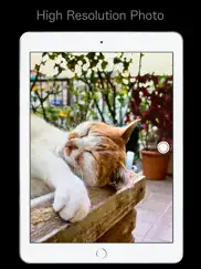 the simple camera ipad resimleri 1