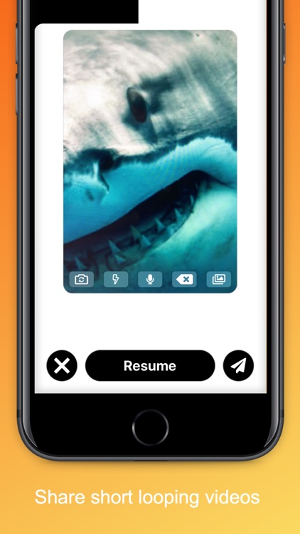 filmly - short looping videos