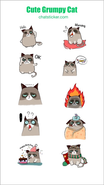 Cute Grumpy Cat