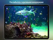 Аквариум hd + айпад изображения 1