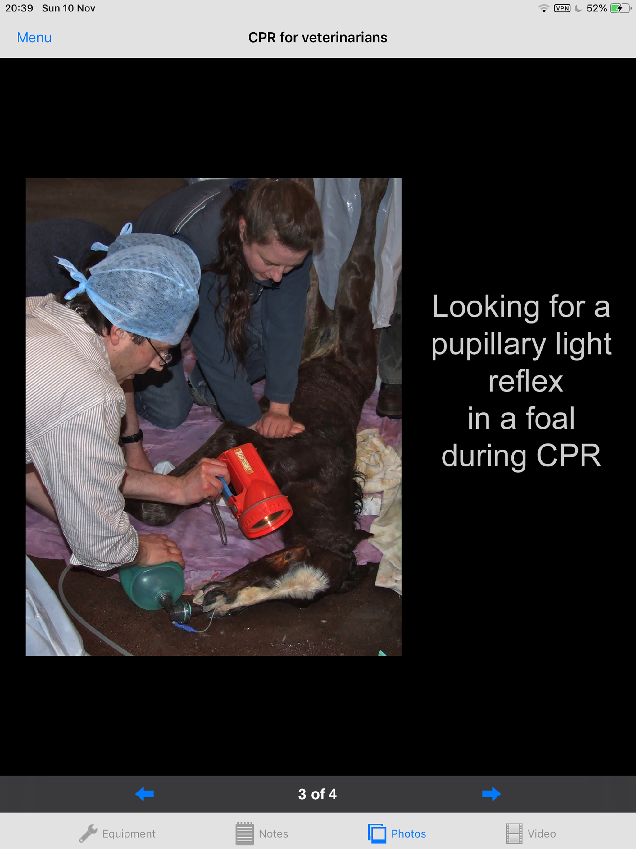 Foal CPR