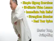 qigong for back pain relief ipad images 4