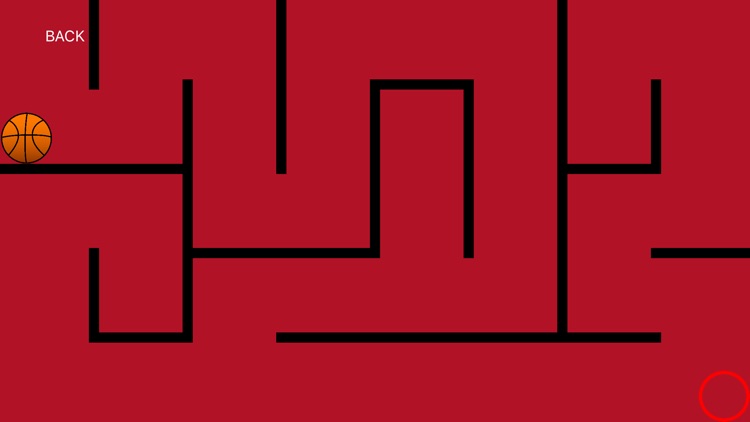 Mystery of Basketball screenshot-5