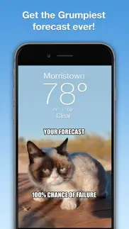grumpy cat's funny weather iphone screenshot 1