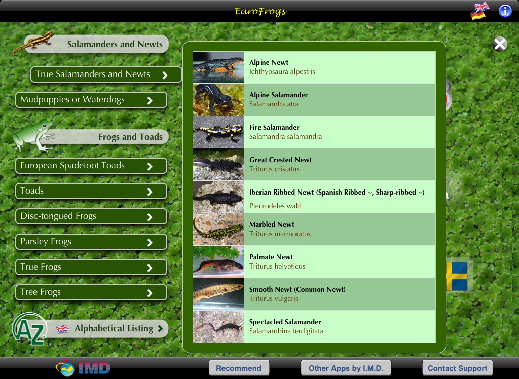 EuroFrogs screenshot 2