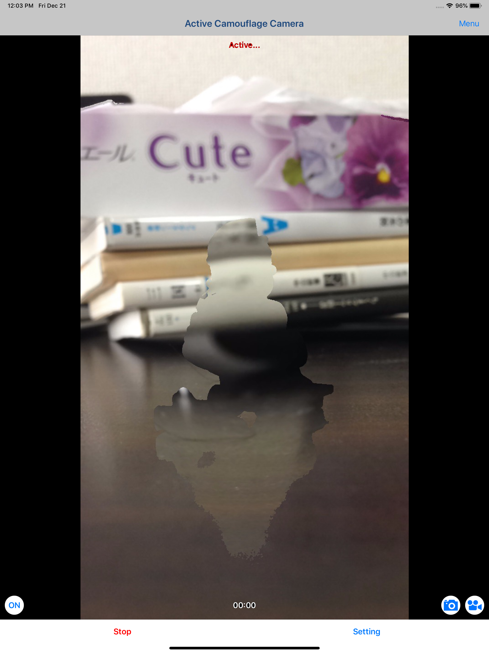 Active Camouflage Camera