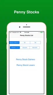 penny stocks -gainers & losers problems & solutions and troubleshooting guide - 1