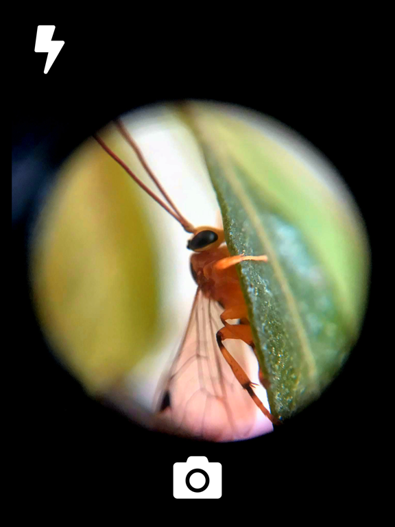 Screenshot #4 pour GoCamera