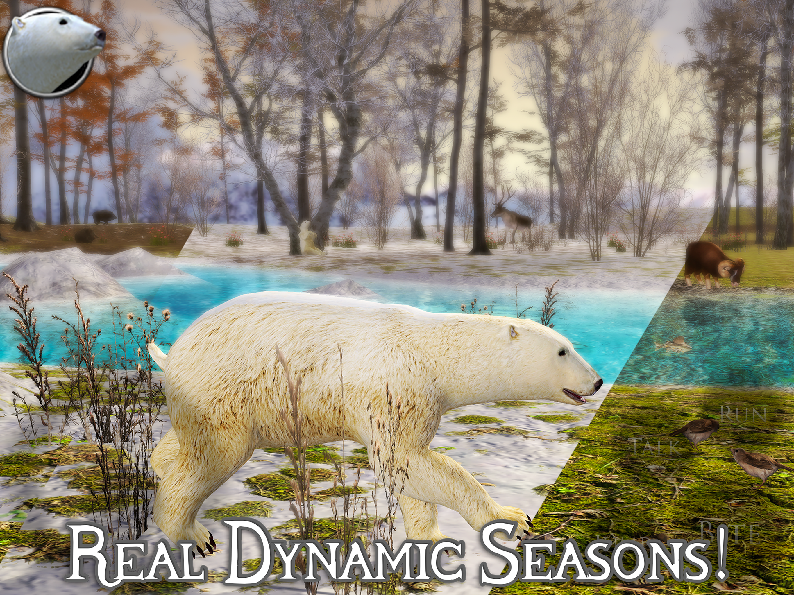 Polar Bear Simulator 2