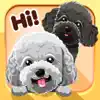 Toy Poodle Dog Emojis Stickers App Feedback