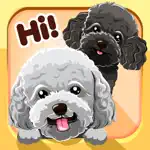 Toy Poodle Dog Emojis Stickers App Contact