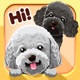 Toy Poodle Dog Emojis Stickers app icon - Stickers app for iPhone