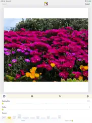 squaredude - square fit photo ipad resimleri 3
