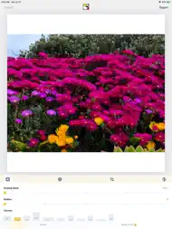 SquareDude - Square Fit Photo ipad bilder 2