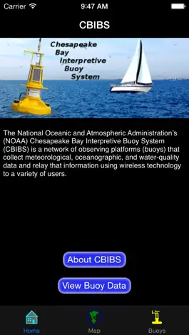 Game screenshot Smart Buoys mod apk