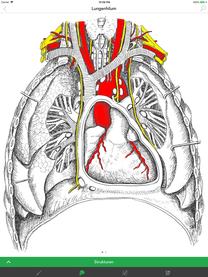 Praktikum Klinische Anatomie