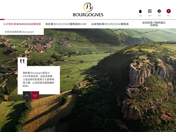 发现勃艮第/Bourgogne葡萄酒