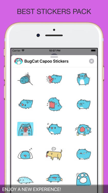 BugCat Capoo Stickers screenshot-3