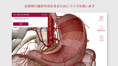 解剖学的構造と生理学スクリーンショット