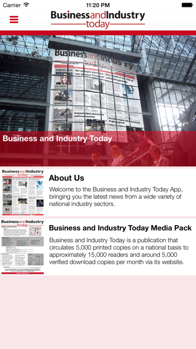 Business And Industry Today screenshot