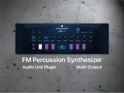 Ruismaker FM iPad image 1