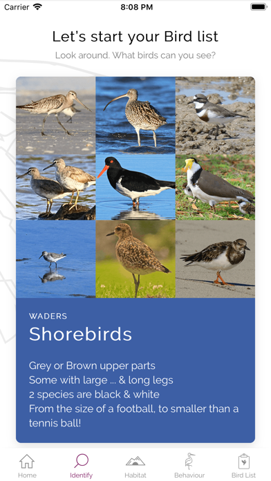 My Shorebird Watcher app screenshot 3