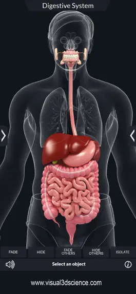 Game screenshot My Digestive System Anatomy apk