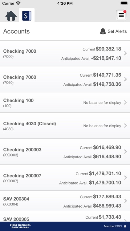 FNB USA Business screenshot-3