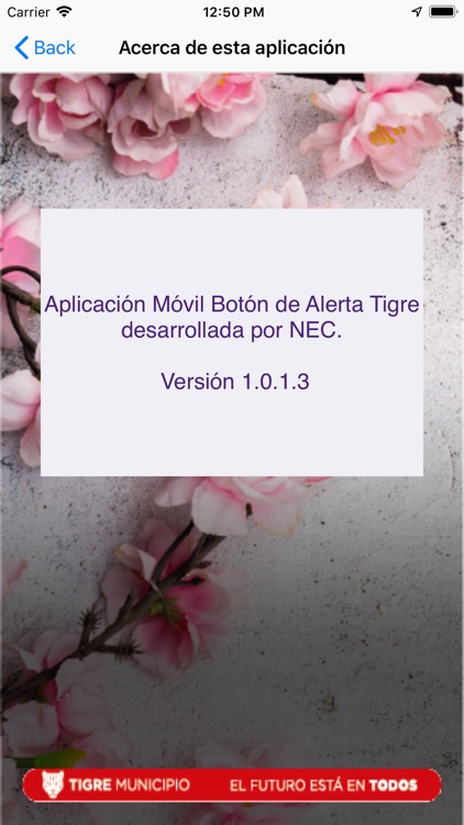 Alerta de Género Tigre screenshot-3