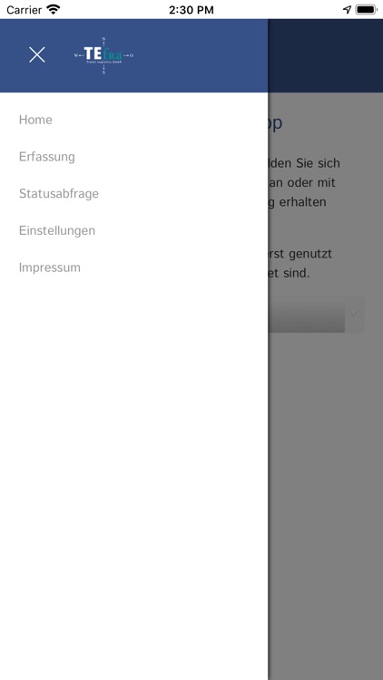 TEfra Gepäck Scanner