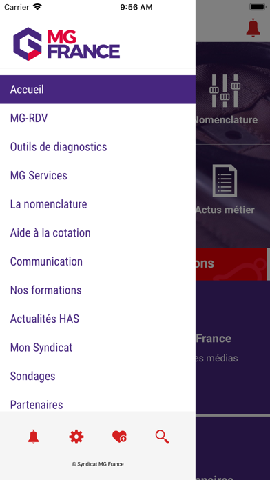 Screenshot #2 pour MG-France