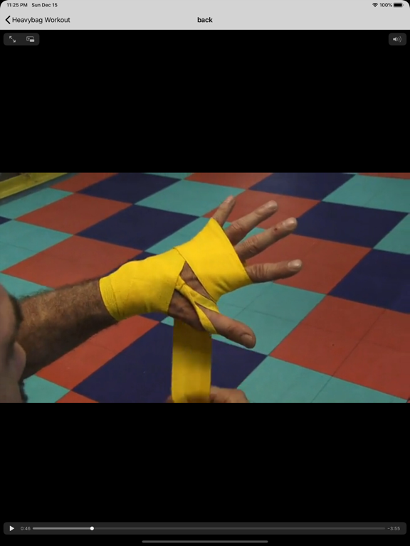 Screenshot #6 pour Boxing The Sweet Science