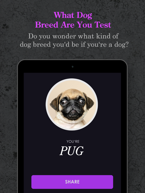 Animal, Hidden Power, Dog Test iPad screenshot 4 - Utilities app