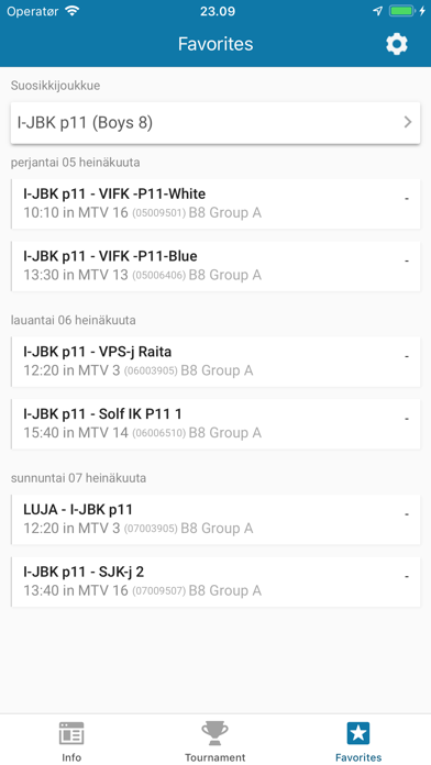 Wasa Football Cup Screenshot