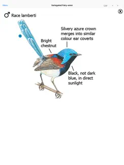 Morcombe & Stewart Guide iPad image 3