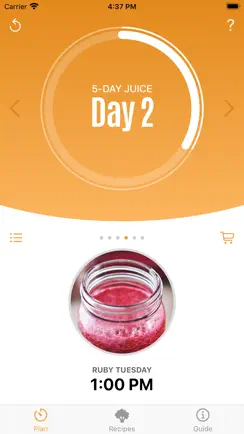 Jason Vale’s 5-Day Juice Diet iPhone image 1
