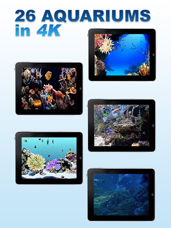 Screenshot #4 pour Aquarium Cheminée & AIR RELAX