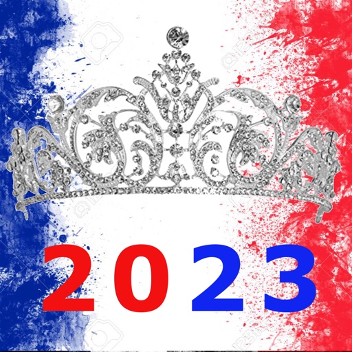 Élections 2023 icon