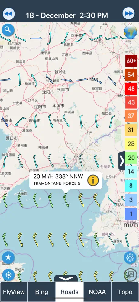 風預報 wind forecast