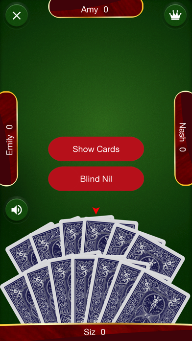 Spades: Card Game Screenshot