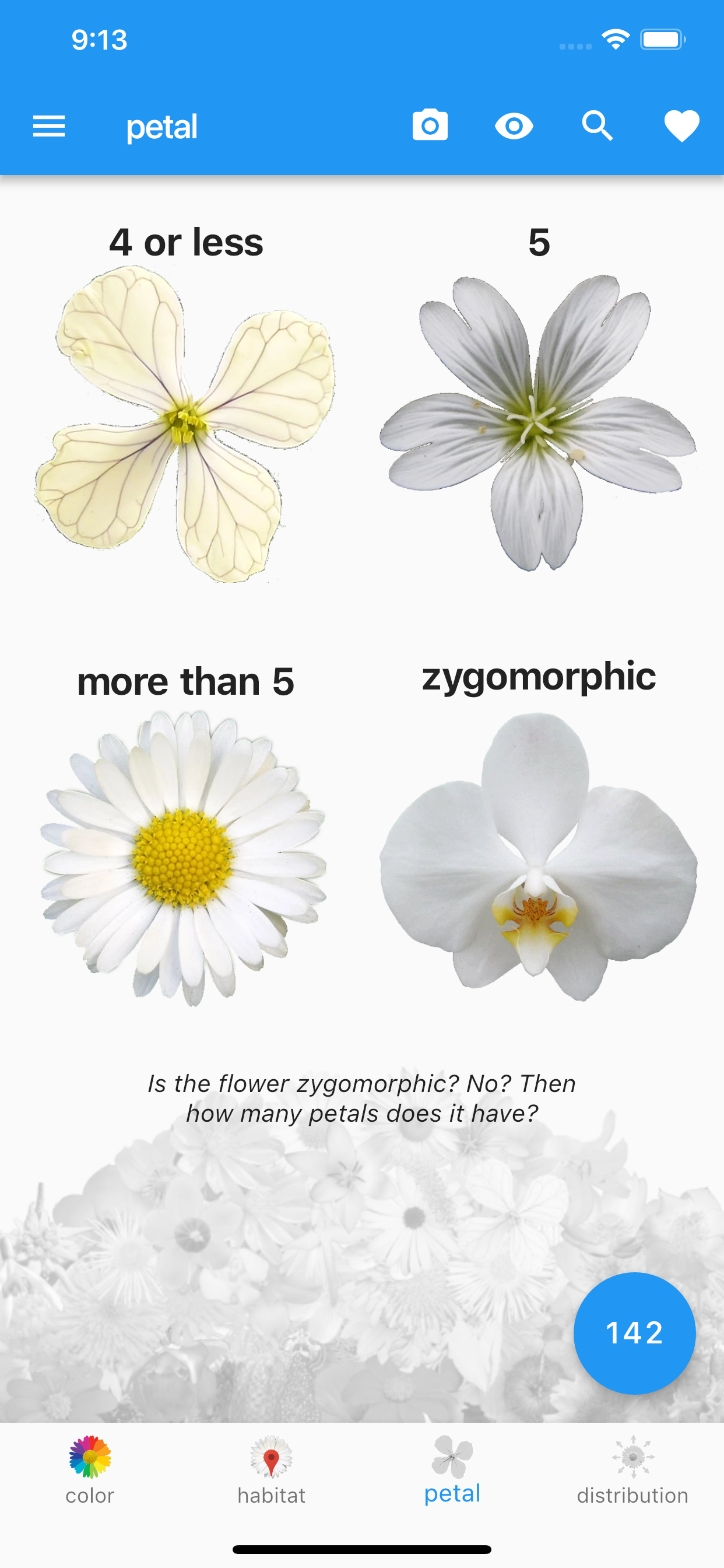 What's that flower?