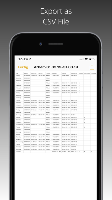 FlexLog - Work Time Tracker Screenshot